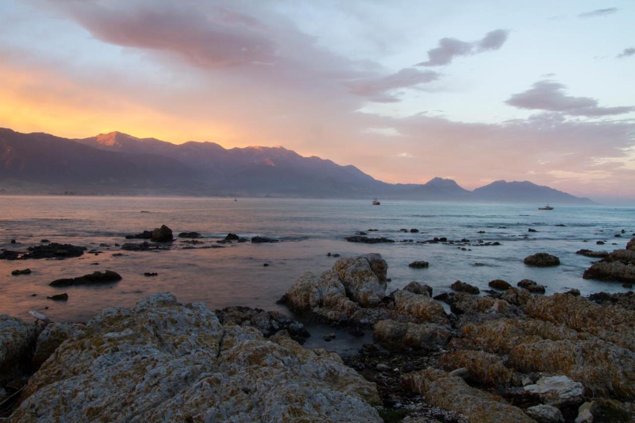 Kaikoura Seaside Lodge Ngoại thất bức ảnh